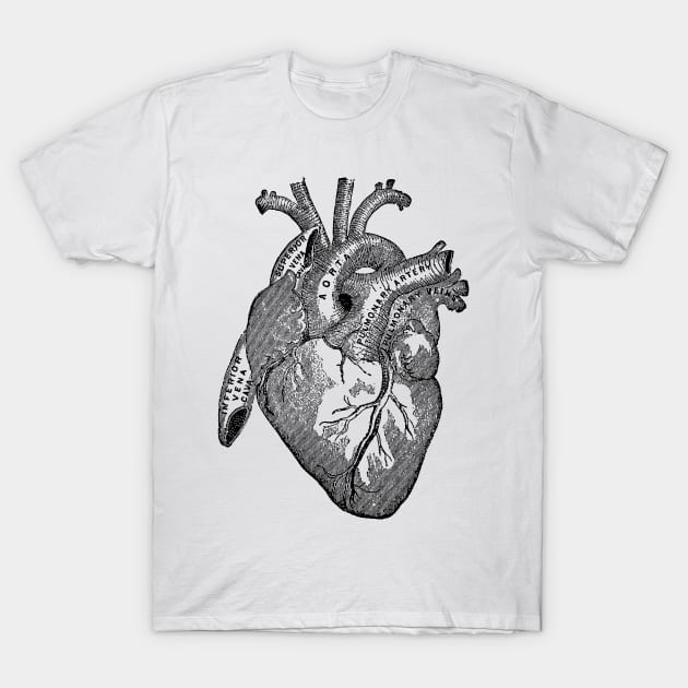 Antique Anatomy Illustration of Human Heart T-Shirt by Pixelchicken